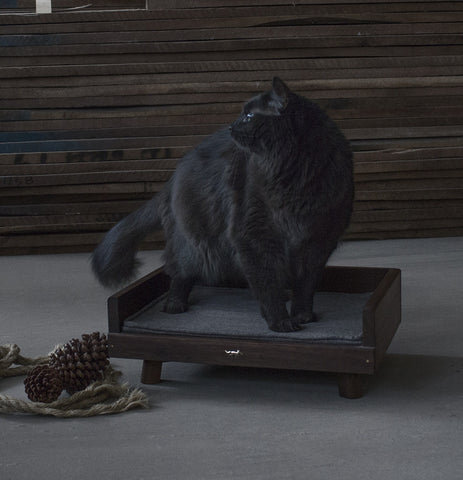Pet Bed