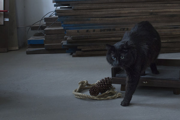 Pet Bed