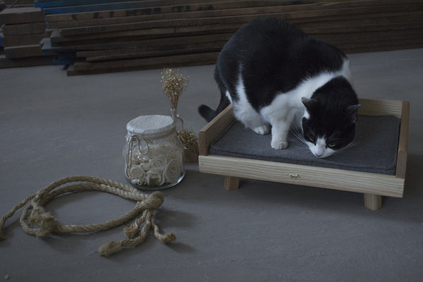 Pet Bed