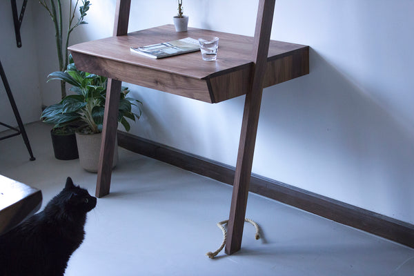 Ladder Shelf Desk